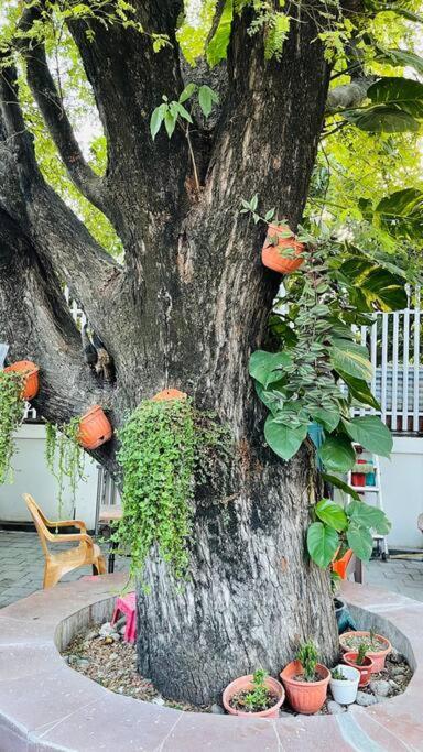 A Luxury Duplex In Dili City, Timor-Leste Extérieur photo